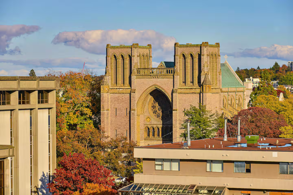 Coastal Haven Suite 36