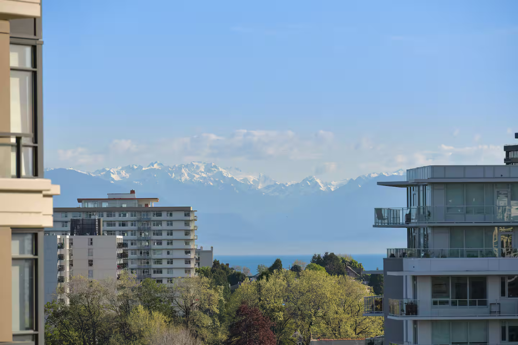 The Majestic Olympic Mountain Range