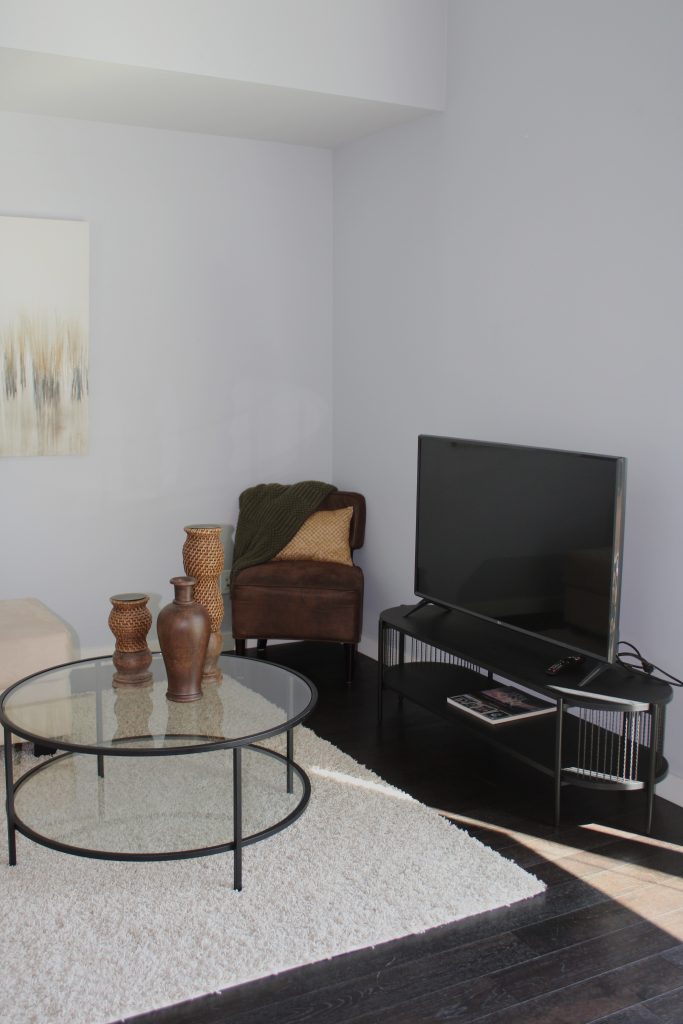 Main Level Living Area